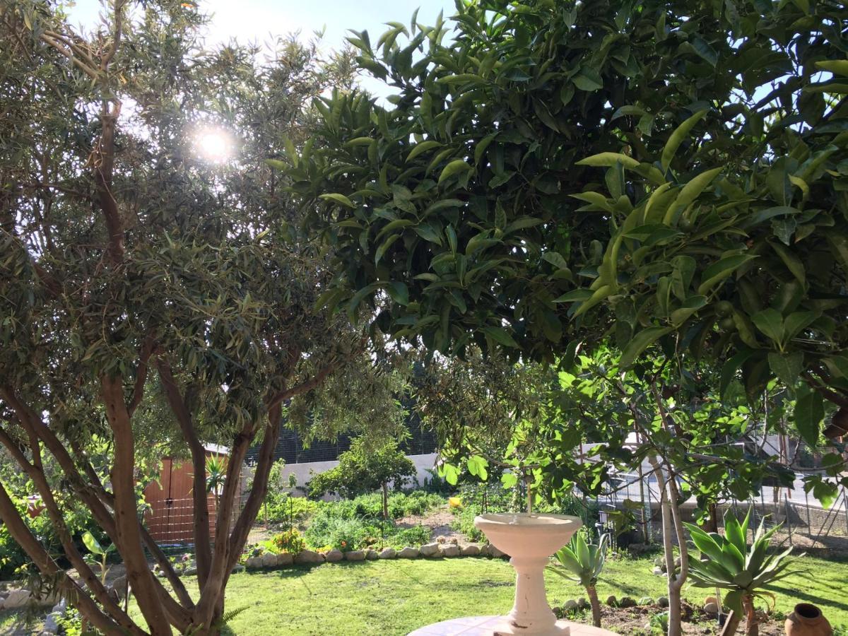 B&B Villa Magna Grecia Lazzaro Exteriör bild